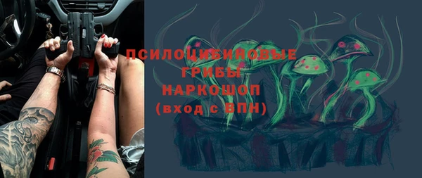 гашик Магадан