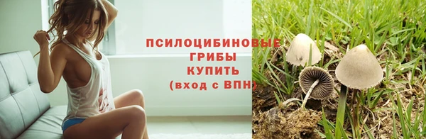 мескалин Майский